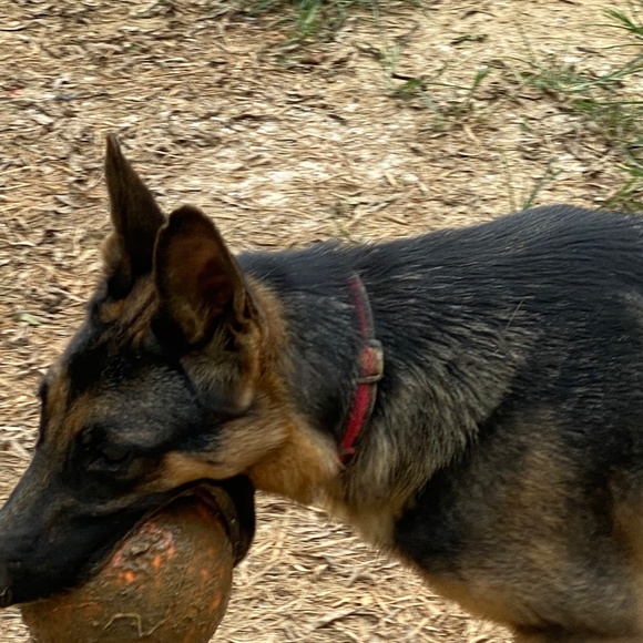 Unique - Picture 12 of 16